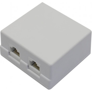 Розетка внешняя двойная 5bites <LY-SB02-A>   RJ-45 кат.5(e)-0
