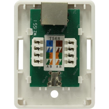 Розетка внешняя 5bites <LY-SB10>  RJ-45  (экран.) кат.5e-8