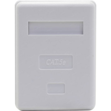 Розетка внешняя 5bites <LY-SB10>  RJ-45  (экран.) кат.5e-5